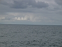 Obraz 492